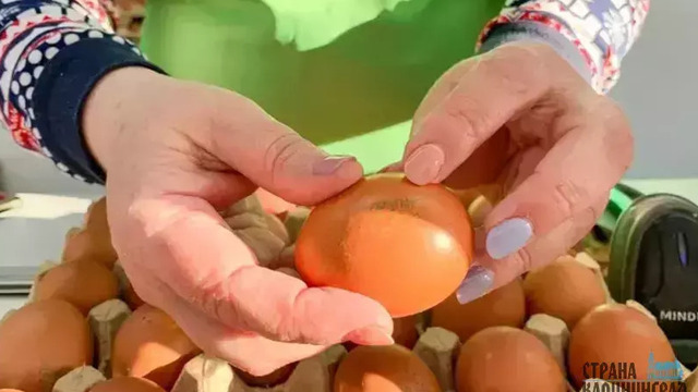 Калининградские яйца на прилавках Санкт-Петербурга оказались дешевле, чем у нас