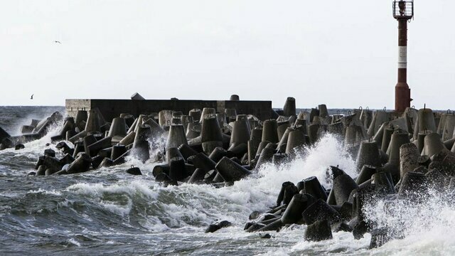 Утром в четверг на калининградском побережье усилится ветер — синоптики