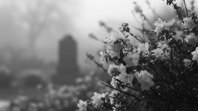 Не стало актёра Владимира Довжика, снимавшегося в «Бригаде» и «Склифосовском»