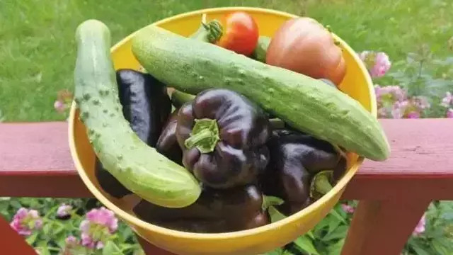 В лидерах — свежие овощи: что в Калининграде за месяц подорожало и подешевело