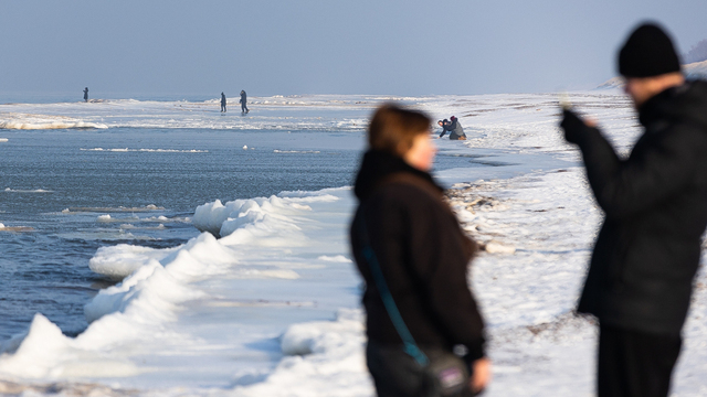 Потепление до +7°C и туманы: прогноз погоды в Калининградской области на пятницу