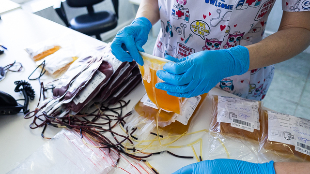 А кексик донорам нельзя: калининградская Служба крови раскрыла свои секреты (фоторепортаж)  