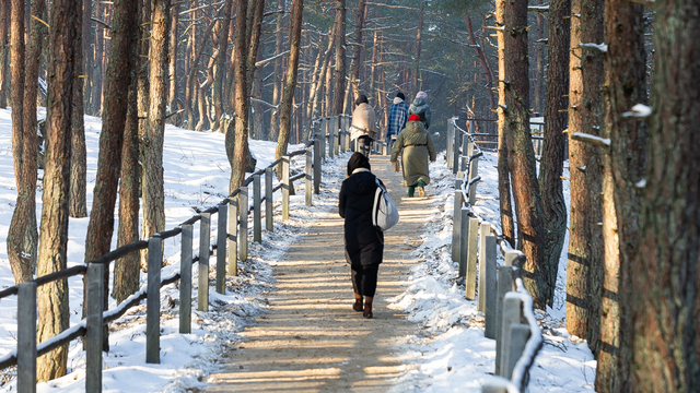 С началом оттепели на Куршской косе вновь ждут гостей, небезопасной остаётся одна локация 