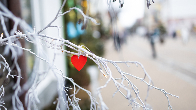 В первую «зеркальную дату» года в Калининградской области создали 41 новую семью 