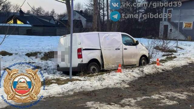 В Заостровье микроавтобус влетел в фонарный столб и дерево, водитель скончался на месте