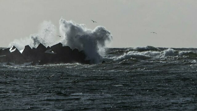 Утром в воскресенье на калининградском побережье Балтики усилится ветер — синоптики