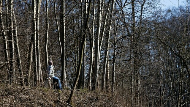 Мороз и солнце — вред деревьям: как спасти сад от весенних ожогов, рассказал калининградский агроном  