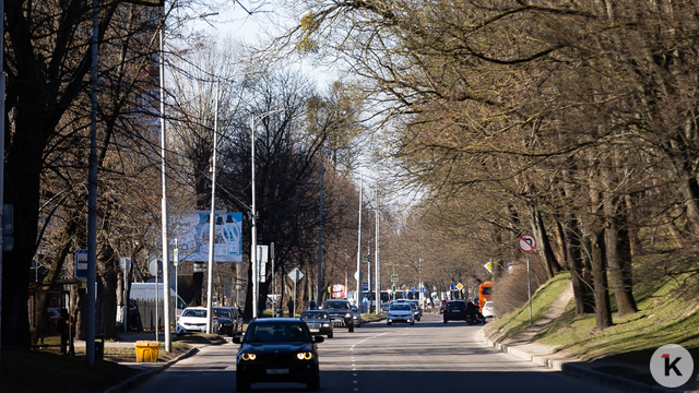 Платные парковки, перекрытия улиц и новые тарифы: что меняется в марте для калининградских водителей и пассажиров