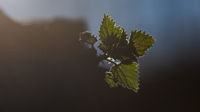 Не выбрасывай кашу и старайся проводить время в компании: приметы на 3 марта