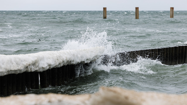 Шторм, солнце и первые птицы: каким будет март по народным приметам