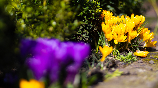 Не руби деревья и откажись от спиртного: приметы на 6 марта