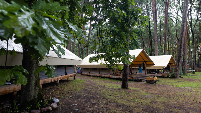 Кто из калининградских школьников бесплатно поедет в лагерь и почему стоит выбрать палаточный: Трусенёва — о планах на лето  