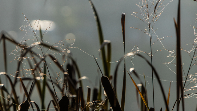 Туман, гололедица и до −5 ночью: прогноз погоды в Калининградской области на 6 марта