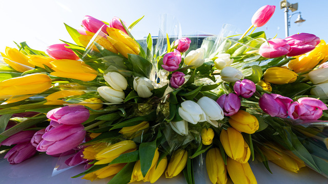 С 8 Марта, дорогие наши калининградки! Поздравления от первых лиц региона