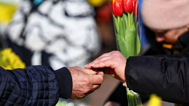 «Тюльпаны в марте бывают дороже роз»: сколько стоят цветы в Калининграде накануне праздника (фоторепортаж)  