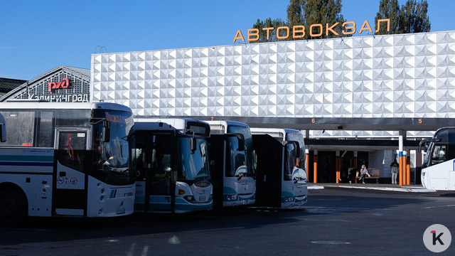 Автобусы Калининград — Варшава частично отменили