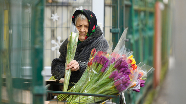 Тюльпаны от 120 рублей: в Калининград перед 8 Марта привезли 3 млн цветов