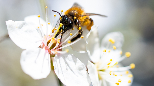 Не пугай икающего и радуйся приятной погоде: приметы на 10 марта