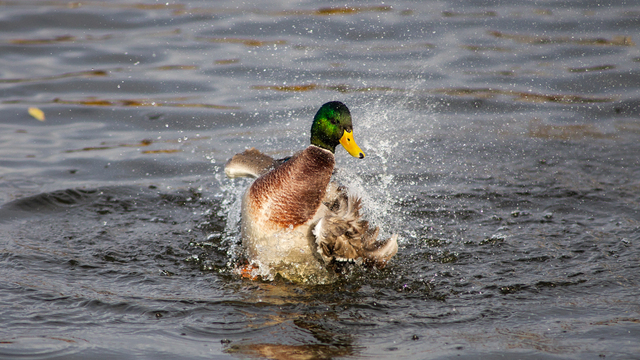 Не скандаль и не маши уходящим людям: приметы на 12 марта