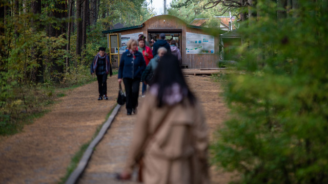 Решение об отдыхе в Калининграде треть туристов принимает в последний момент