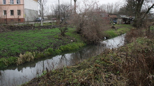 Ущерб на 250 млн рублей: Арбитражный суд обязал «Балтптицепром» возместить вред за сброс опасных сточных вод