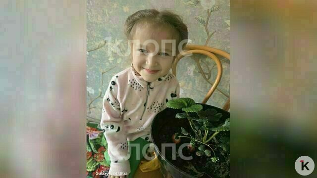 Адвокат из Калининградской области морозной зимой кормил 6-летнюю дочь выращенной на подоконнике клубникой (фото)  