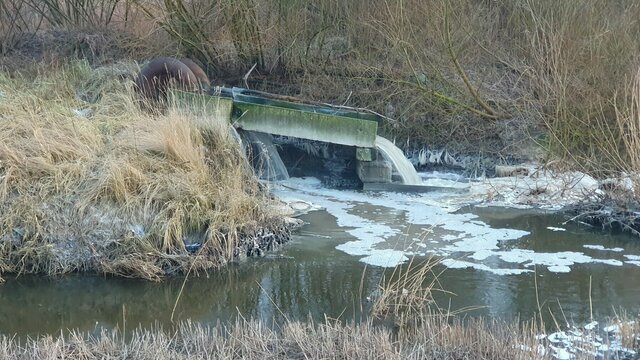 Ущерб на 250 млн рублей: Арбитражный суд обязал «Балтптицепром» возместить вред за сброс опасных сточных вод