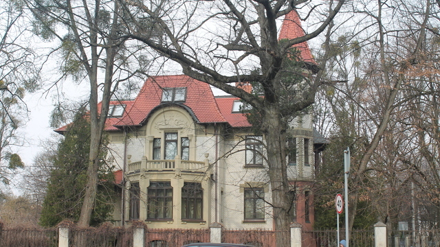 Вилла с шахматами и змея у входа: 8 мест в историческом районе Калининграда, где отыщутся потрясающие детали (фото)