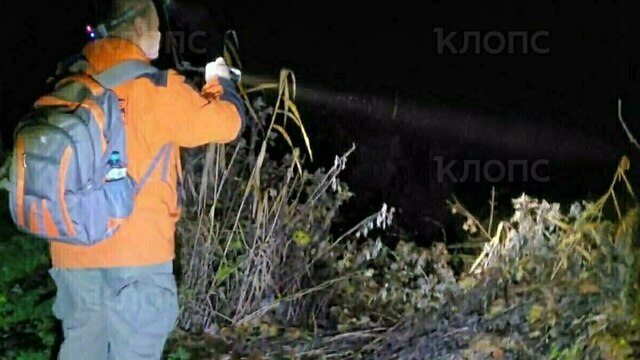 Тело прибило к берегу: в Калининградской области обнаружен погибшим 65-летний мужчина, пропавший в ноябре  