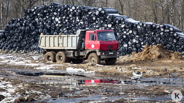 В Калининградской области назревает кризис в сфере утилизации отходов   