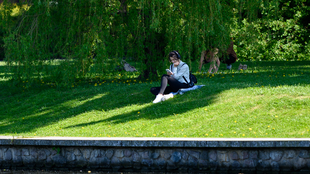 В Калининграде начинают травить клещей: работы пройдут на 6 млн «квадратов» (список)