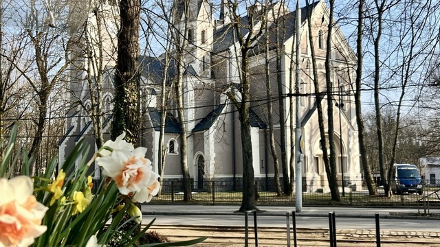 На выходных в Калининград придет настоящее лето