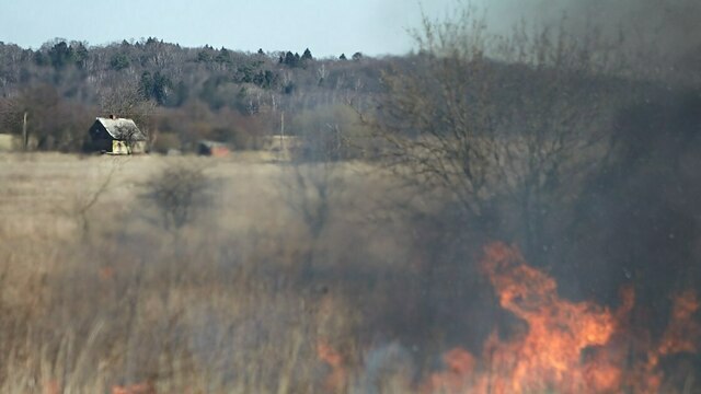 В пяти районах Калининградской области начали жечь траву, уже выгорело 20 гектаров — МЧС   