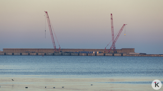 Калининградский бизнес рассчитывает на более дешёвые грузоперевозки через порт Пионерского