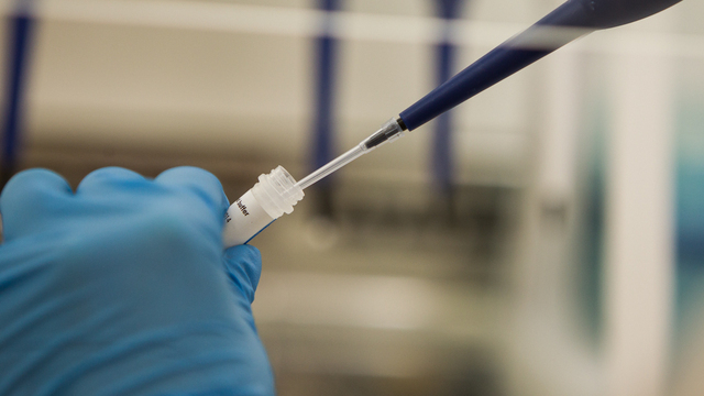 Малышева рассказала, какой анализ связан с продолжительностью жизни