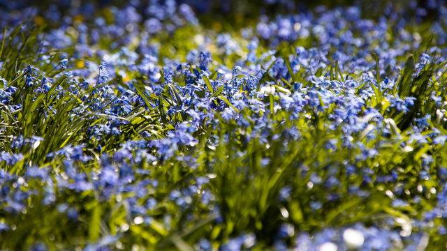 Не гуляй после заката и прояви невиданную щедрость: приметы на 16 марта