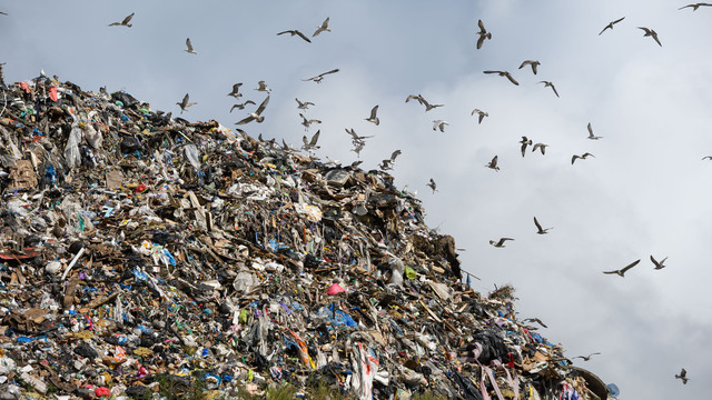 Областные власти выделят около полумиллиарда рублей на обустройство мусорных полигонов