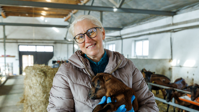 Беременность могла исчезнуть: чем животным поможет репродуктолог