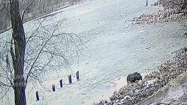 В Калининграде две девочки провалились под лёд в Макс-Ашманн-парке