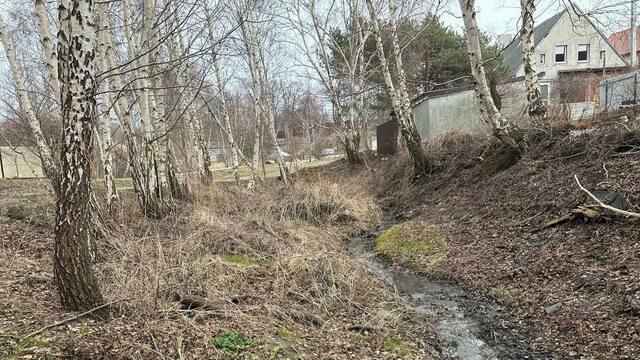 «От зловония некуда деться»: в Янтарном десятки мутных стоков впадают в море (видео) 