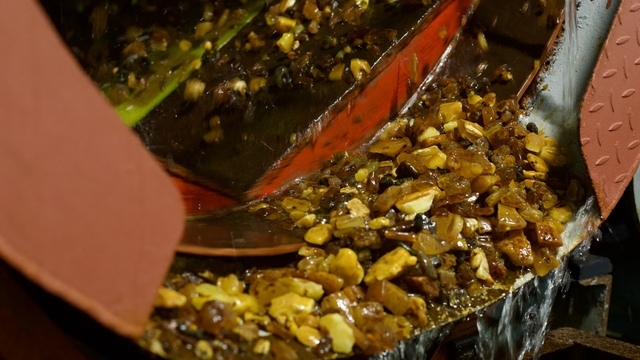 В Калининградской области возобновилась добыча янтаря