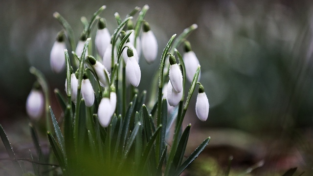 Карамельный праздник, вечер поэзии и встреча с психологом: куда бесплатно сходить в выходные в Калининградской области