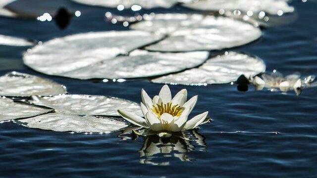 Не думай о плохом и не подбирай ничего с земли: приметы на 20 марта