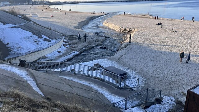 В Пионерском пляжников ждут три приятных новшества (фото)