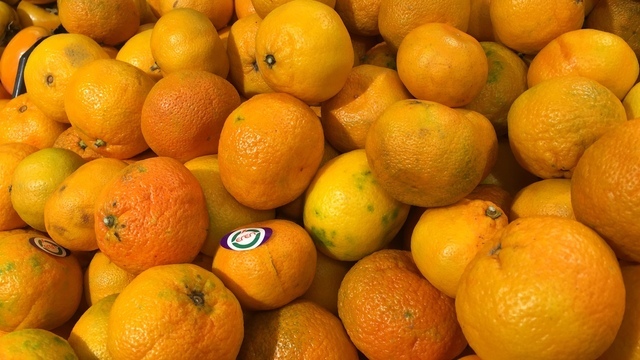 Кардиолог объяснил, чем полезен апельсиновый сок и почему пакетированный лучше не пить