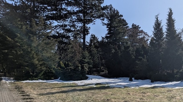 Плесень склеила траву: калининградский агроном рассказал, как понять, пережил ли ваш газон зиму