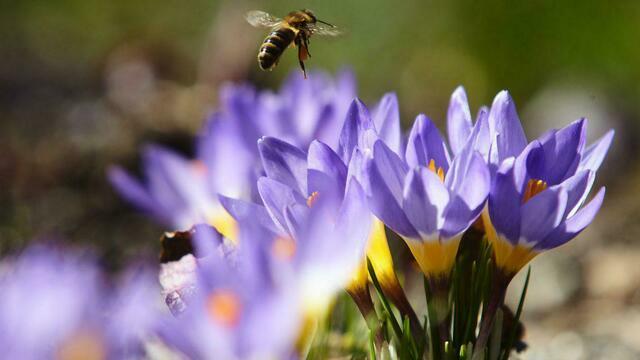 Не ложись спать слишком поздно и не ссорься ни с кем: приметы на 21 марта