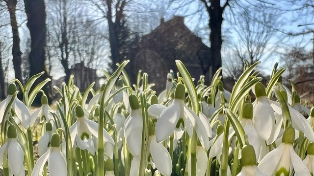 В Калининграде много солнца и сухо
