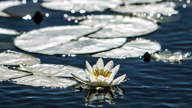 Не давай птицам хлеб и не готовь блюда из мяса: приметы на 22 марта