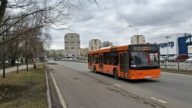 Не уехать после девяти вечера: калининградцы рассказали о проблемах с общественным транспортом